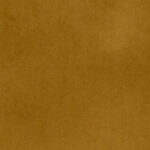 Festival Mustard
