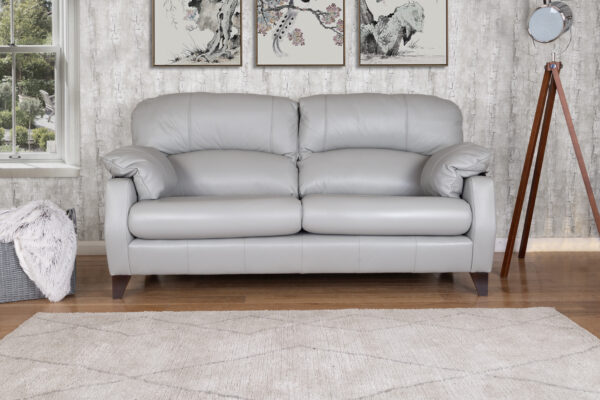 Austin Leather-3 seat sofa-featured
