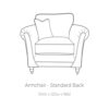 Danbury-armchair-tech