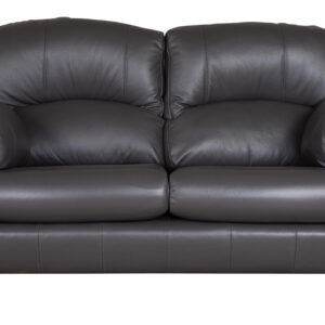 Austin Leather-2 seat sofa-featured