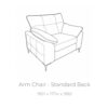 Elsie-armchair-tech